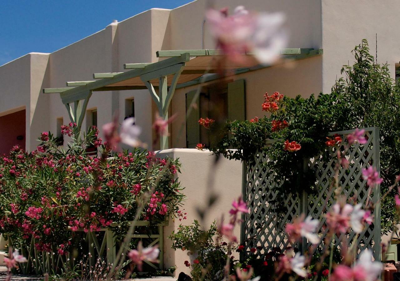 Flower And Crafts - The Eco Nature House Monólithos Esterno foto